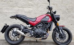 Benelli Leoncino 500 Benelli Leoncino 500