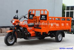 Dayang DYWY-104, Motor Roda Tiga Asal China Bermesin 250cc