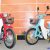 Gazgas Gazelo 125, Nostalgia Honda Super Cub C70