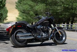 Harley Softail Fat Boy Special, Edisi Khusus Moge Legendaris