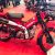 Honda CT125 Siap Hadir dalam Warna Baru yang Lebih Keren, Safari Green