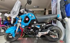 Honda-Grom-125 Honda-Grom-125