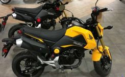 honda-grom honda-grom