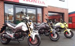 Honda-MSX-125 Honda-MSX-125