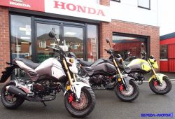 Resmi Dirilis, Motor Terbaru Honda MSX 125 Usung Warna-Warna Lebih Ceria