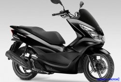 Skutik Honda PCX Versi Lokal Bakal Lebih Mahal Dari NMAX?