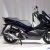 Rilis Lusa, Pemesanan Honda PCX Terbaru Sudah Dibuka