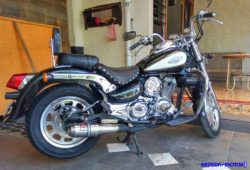 Kanzen V-Star, Moge Negeri Ginseng Citarasa Harley