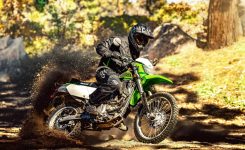 Kawasaki KLX 300 SM