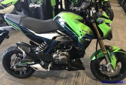 Kawasaki Konfirmasi Ninja 125 dan Z125 Mengaspal Tahun Depan