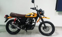 Kawasaki W175TR