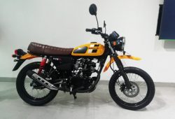 Usung Gaya Scrambler, Kawasaki Rilis W175TR Terbaru Mulai Harga Rp29,9 Juta