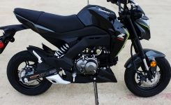 Kawasaki Z125 Pro