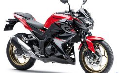 Kawasaki-Z250-warna-baru
