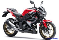 Tampilan Lebih Mewah, Motor Kawasaki Z250 Terbaru Hadir dengan Pelek Emas