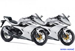 Kawasaki Siapkan Motor Terbaru Ninja 250 cc 4 Silinder?