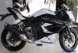 Motor Kawasaki Ninja RR Mono Kini Punya Livery Baru yang Lebih Ganteng