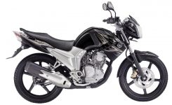 New Yamaha Scorpio 225 New Yamaha Scorpio 225