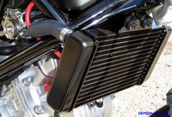 Fungsi, Cara Merawat, dan Harga Radiator Sepeda Motor