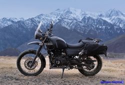 Kurang Laris di India, Royal Enfield Himalayan Batal Masuk Indonesia?