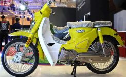SM_Sport_Cub_Classic_2
