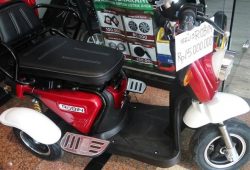 Unik & Multifungsi, Selis Luncurkan Motor Listrik New Robin