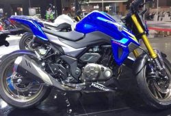 Penerus Inazuma, Suzuki DR300 Meluncur di China dengan Konsep Naked Bike Streetfighter