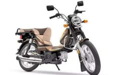 TVS-XL-100-Heavy-Duty