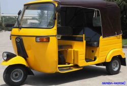 Wanhu 175 ZKM/T, Three Wheeler China yang Gagal Mengaspal di Indonesia