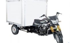 Viar-New-Karya-150-BFS