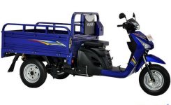 Viar-New-Karya-Bit-100
