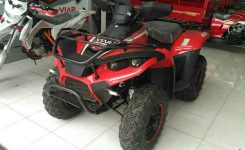 Viar-Razor-300