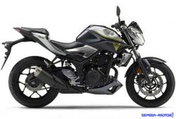 Yamaha Rilis Motor MT-25 dengan Warna Baru, Harga Tetap Rp 46,6 Juta