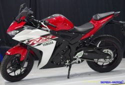YIMM Diam-Diam Luncurkan 3 Varian Warna Baru untuk Motor Yamaha R25