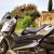 Edisi Spesial Skutik Yamaha XMax 300 Roma Edition Meluncur Seharga Rp96 Jutaan