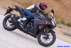 Yamaha YZF-R3 Versi 2018 Hadir dengan Warna Baru, Harga Dipatok Mulai Rp 67 Juta