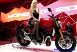 Motor Ducati Monster
