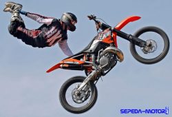 Sepeda Motor Freestyle