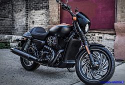 Harley Davidson Street 500, Moge Cafe Racer Berharga Miring