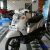 Harga Sepeda Motor JIALING semua Tipe : Mopped, Matic, Trail, Roda 3