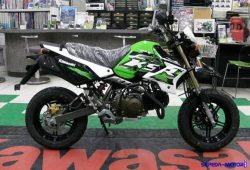 KSR Pro, Motor Trail Mini Responsif Milik Kawasaki