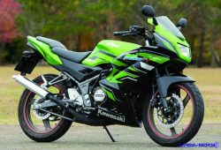 Kawasaki Ninja 150 4-Tak, Hanya Ada di Angan-Angan