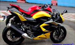 kawasaki-ninja-rr-mono