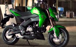 kawasaki-z125-pro kawasaki-z125-pro