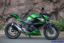Kawasaki Z250, Motor Street Fighter Agresif Idola Kaum Urban