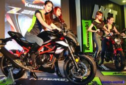 Kawasaki Z250SL, Saudara Kandung Ninja RR Mono
