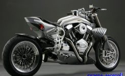 macchia-nera-concept