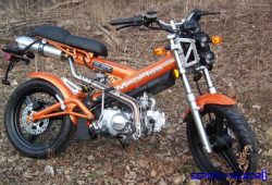 Minerva MadAss 125, Unik dengan Desain Ekstrem