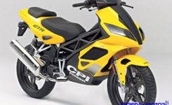 minerva-sachs-gtr-150