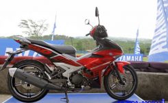mx-king-150